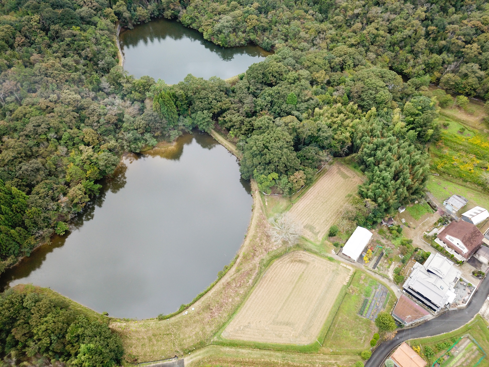 ため池耐震補強 入野新池 | 農業・森林